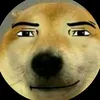 jszmnzvq