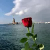 ily_aam
