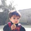 kabirkhan4079
