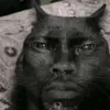 qquanark