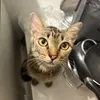 trucie_0212