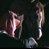 majedl31