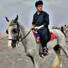 mdilshad301