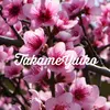 takameyuiko