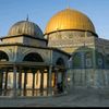 alam_sheikh7