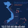 tuoitredanggiabieunhao