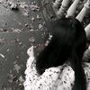 nathadec