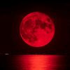 redmoon_jules