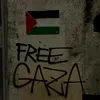 dxnx.prvv
