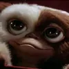 gismo19641