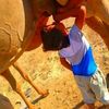 user66111077