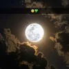 barznji_0304