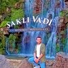 saed594