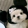 tonkao__23