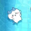 shikii_0o