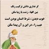 qudsia11233