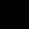 na_ns1