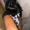 wan.gapernah.maxwin12