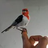 pedro_nordestino