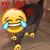 niftyswifty