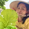 trinhha061982
