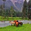 🫶 Kumrat valley⛰️