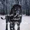 user062524301