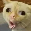 epduahau_deth