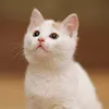 monamyjan