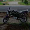 sandiazharii