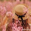 nourah773