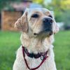 leeloo_kyiv