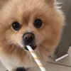 pommpom3