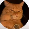 chafik_lr_04