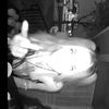 kaylisand