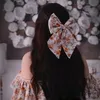 jamisnansak2