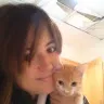 steffitirmes
