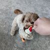 itsminimina