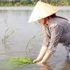 bepnhanguyenthao