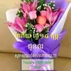 36365555vit