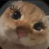 bfjimin0