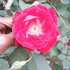 fateh587