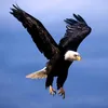 nguyen_hien_38ht