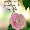 mariajimenez9126