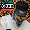 xed_256