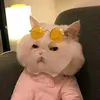 miubaoboi1005