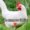 user_o101o1_