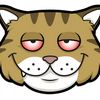 zinc_84