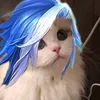 bene_crott
