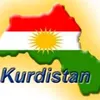 hamed__swrce21
